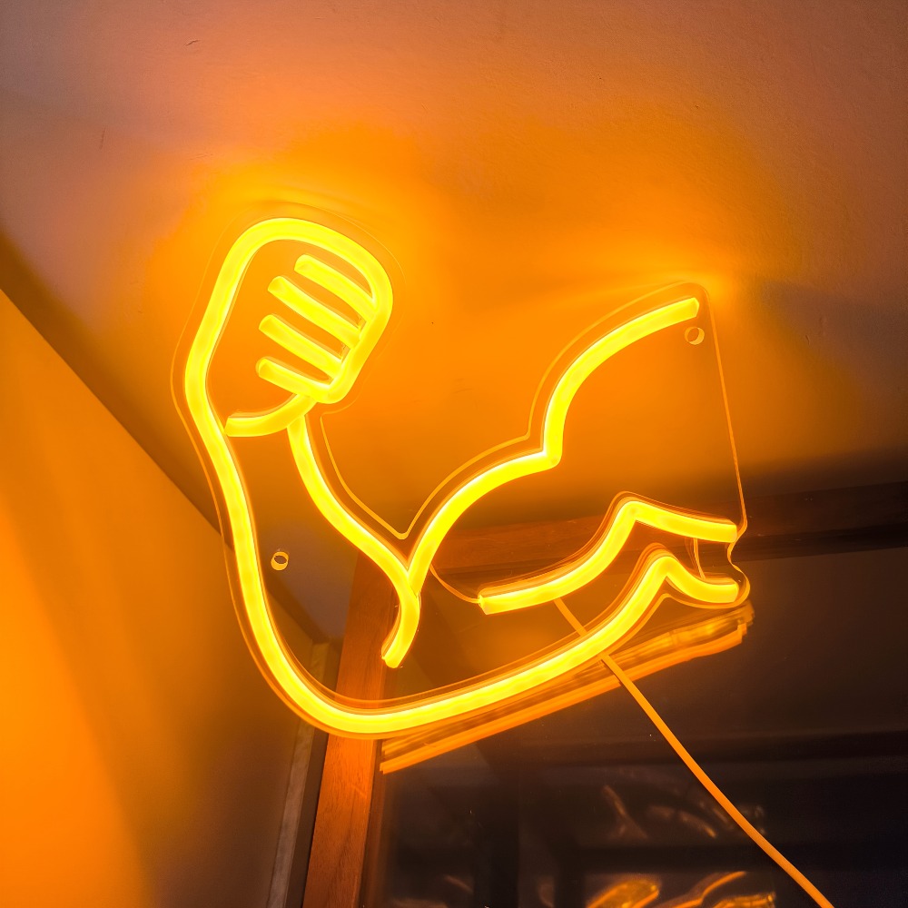 Fitness Motivation Light - Mus - Gymnastic Bar Home review and price